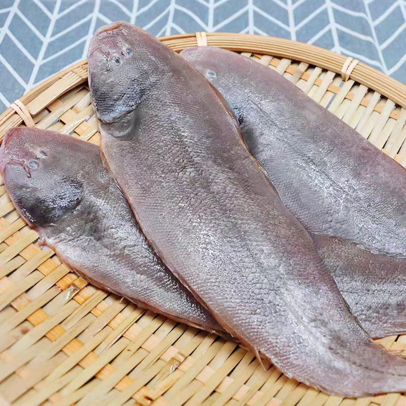龍利魚