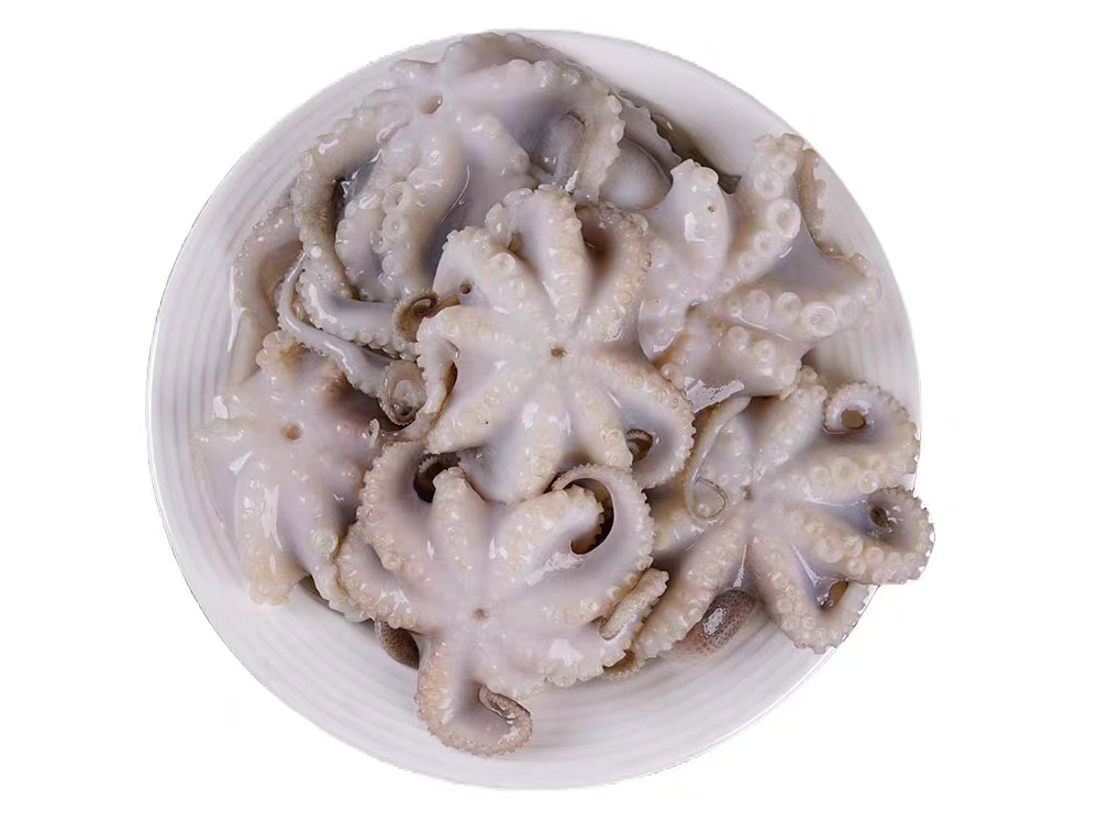 凍章魚(yú)
