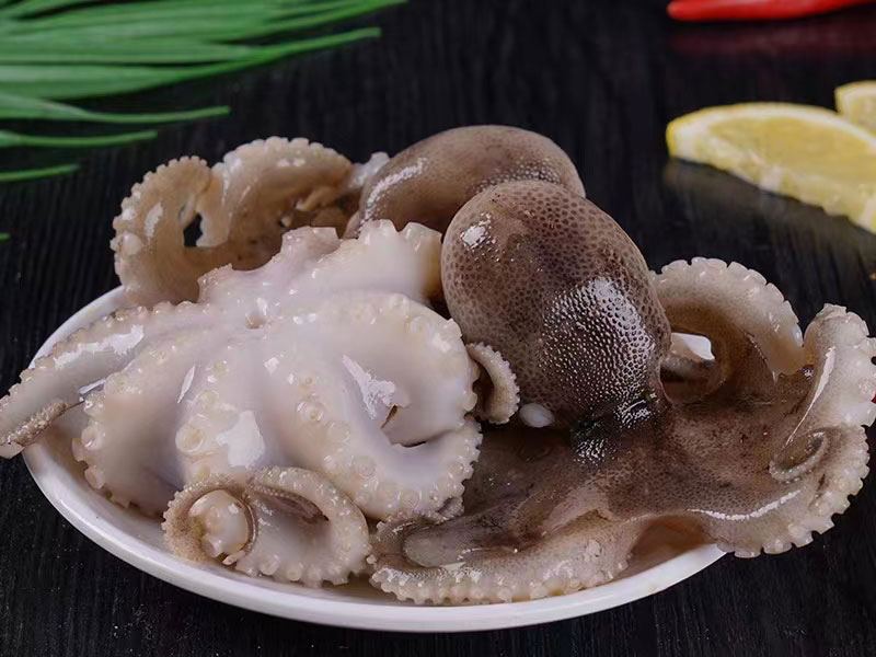 凍章魚(yú)