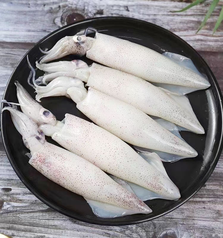 墨斗魚