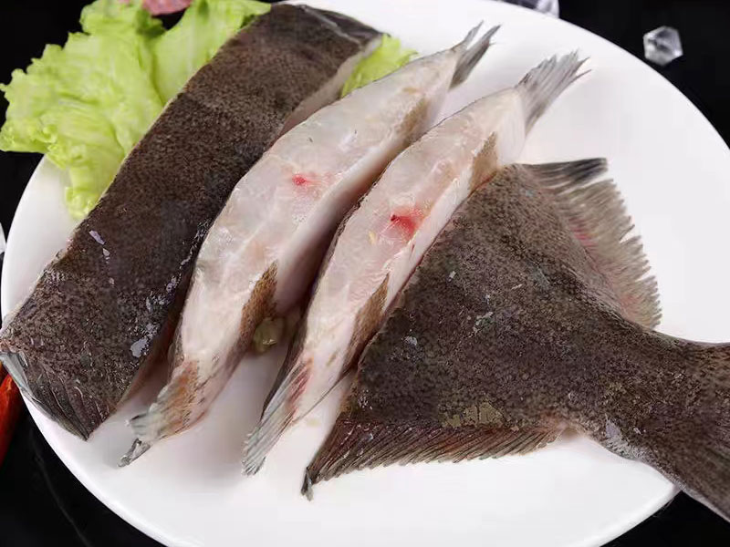 偏口魚