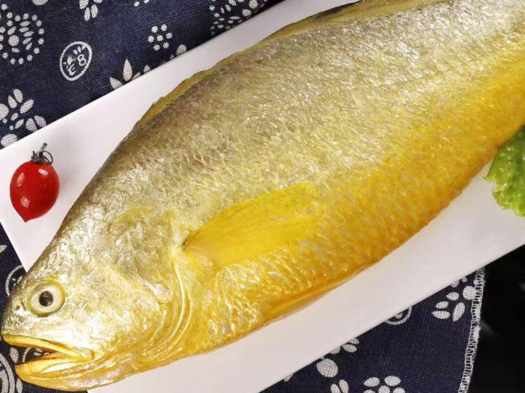大黃魚
