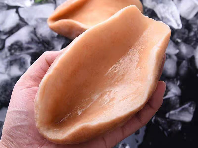 黃金鮑