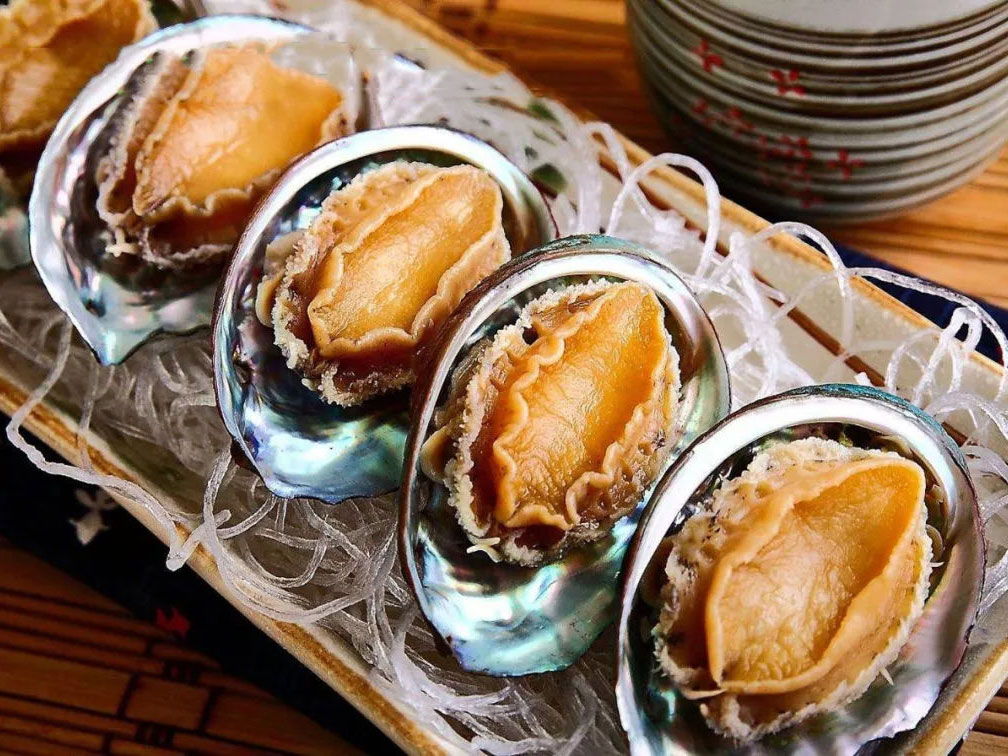 野生鮑魚