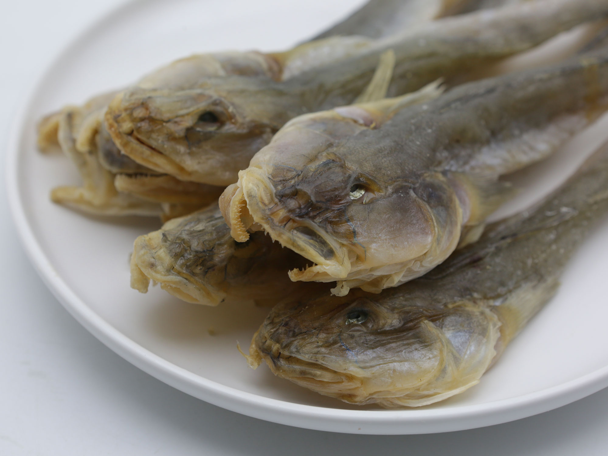 扔吧魚干
